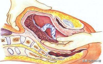 坐月子期间怎样知道身体恢复正常,产后身体的变化科普