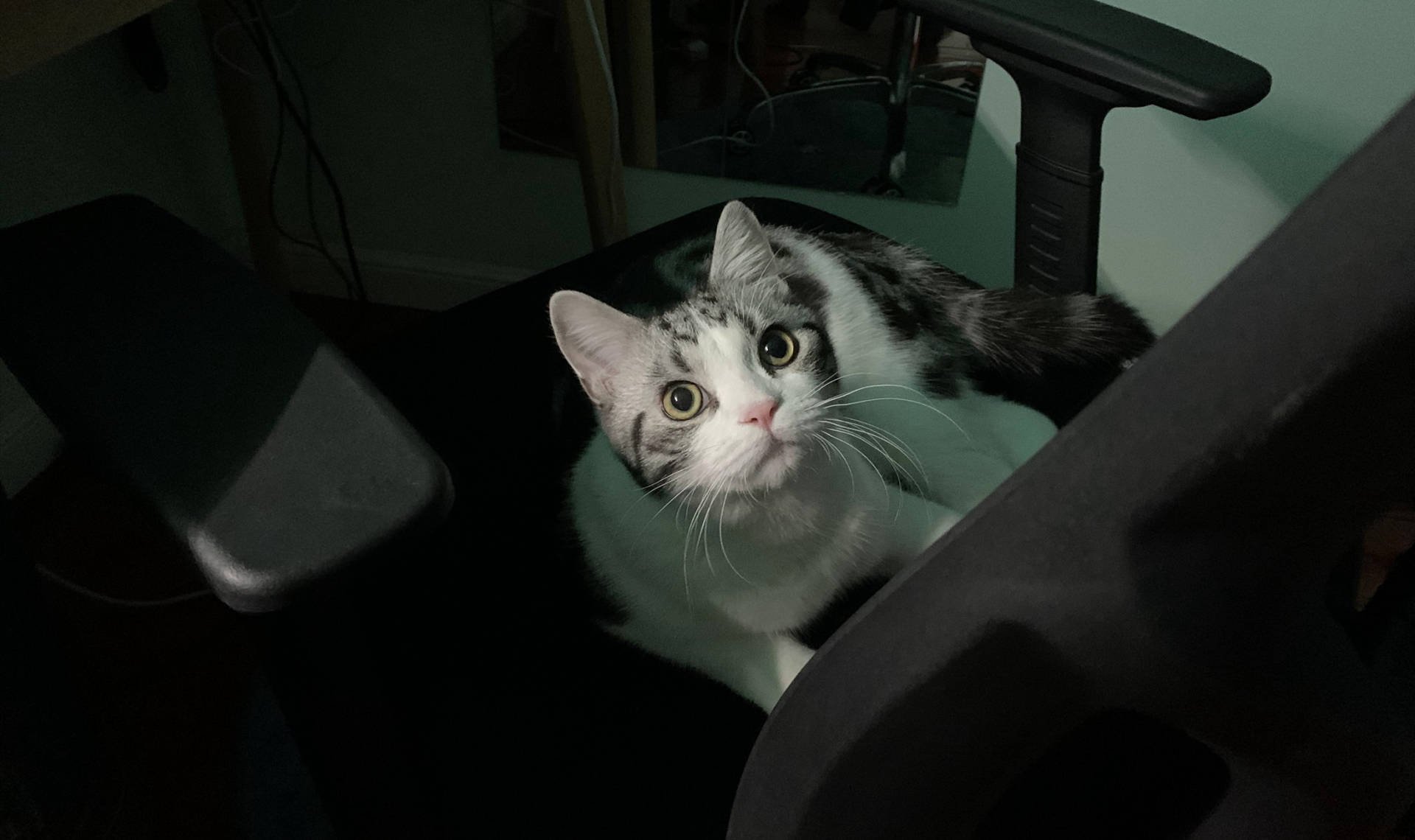 网易严选星舰特别定制人体工学椅,网易严选星舰人体工学椅测评