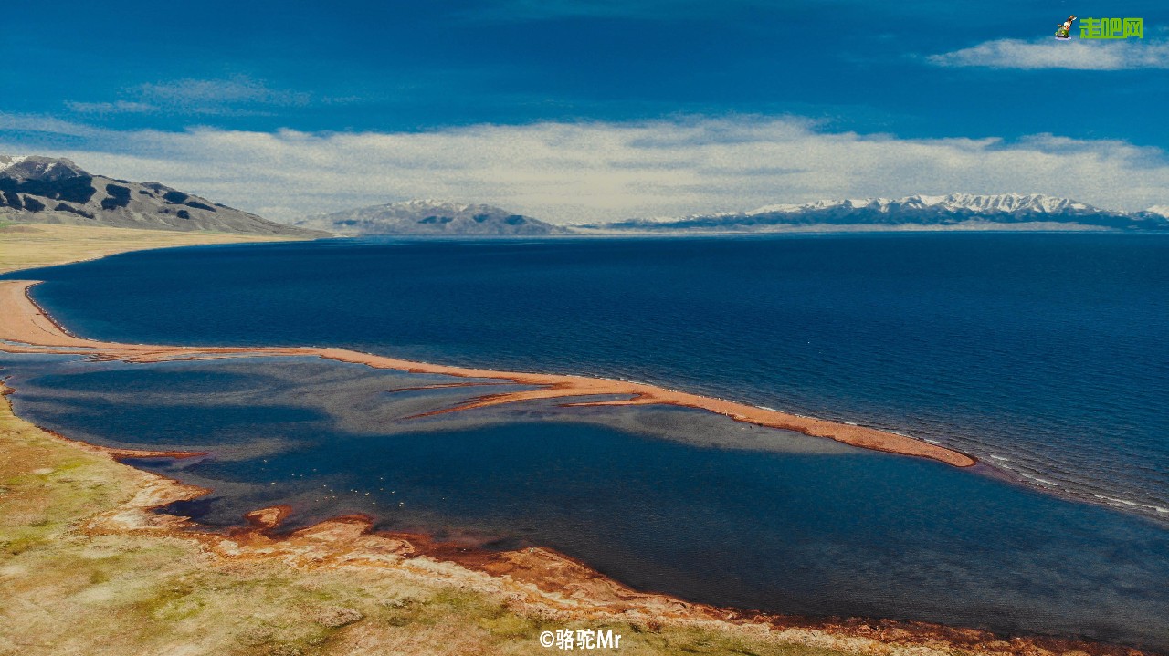 梵高画不出的向日葵,梵高画中的风景
