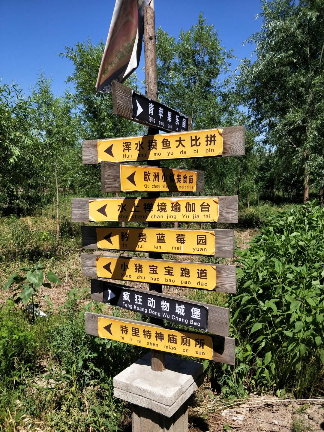 石家庄豌豆农场门票,豌豆农场井陉