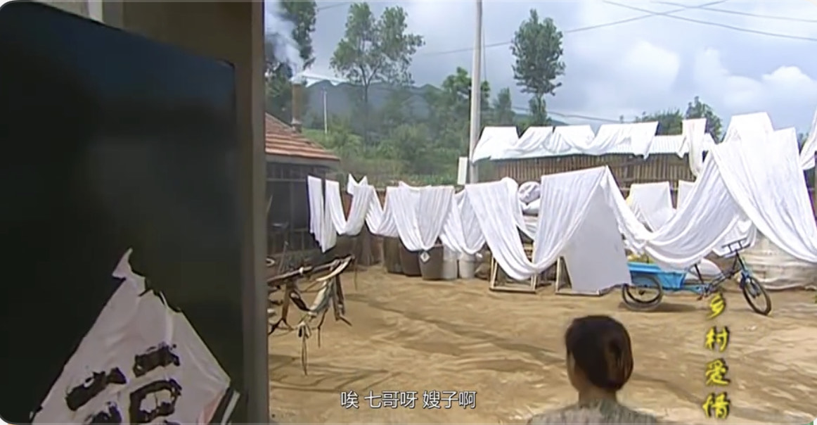 乡村爱情永强娘打谢广坤,乡村爱情1谢永强谢广坤