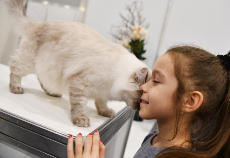 养猫的四个好处养了就是人生赢家,养猫的12个好处养过的人才懂