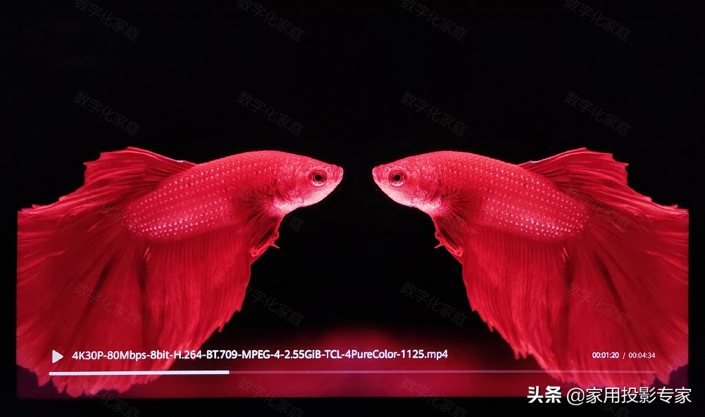 55寸荣耀智慧屏3799,2999买荣耀智慧屏x1