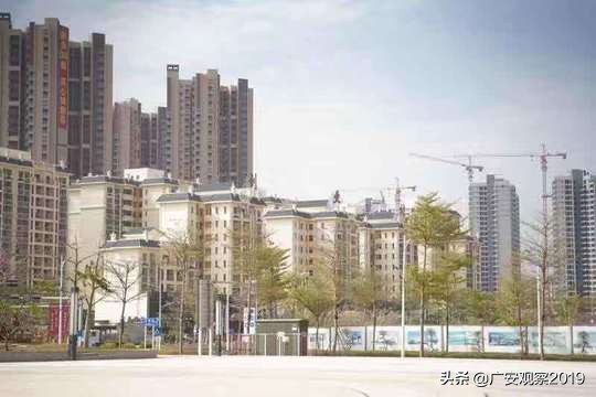 深汕特别合作试验区,深汕特别合作区合作条件