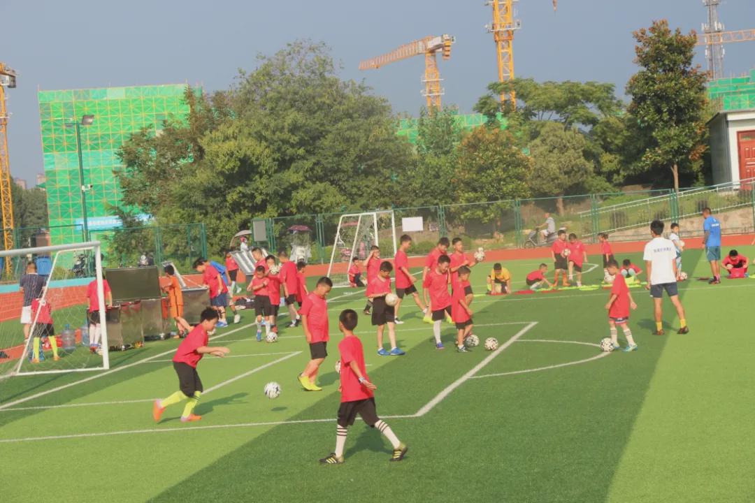 信阳维德青训基地,维德青少年培训