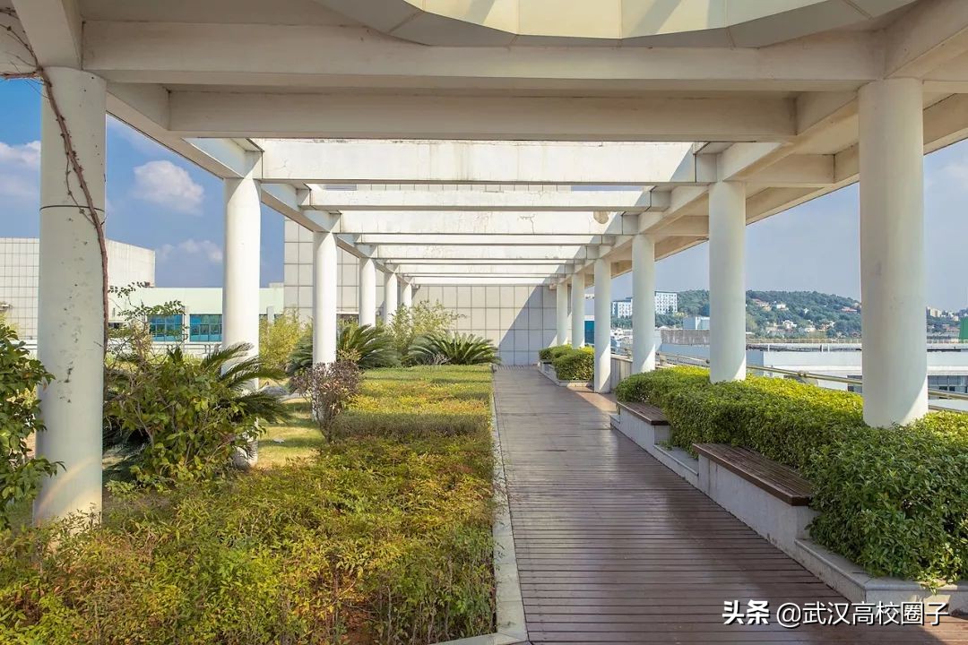 爸妈我想回家视频,爸妈我想回家了原视频