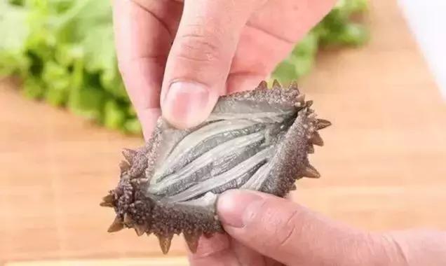 海参不能一概而论,如何选择海参才能最好