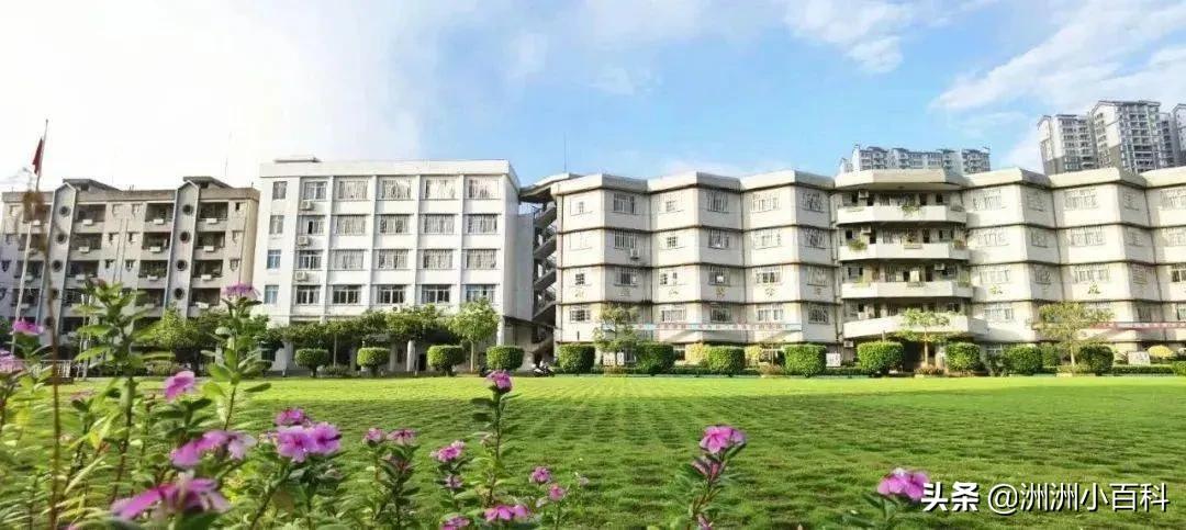 新兴县华侨中学学校介绍,新兴华侨中学历史