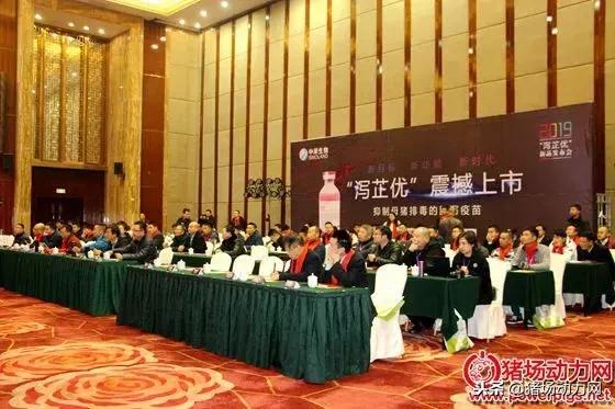 中岸生物疫苗,中岸生物和中净生物