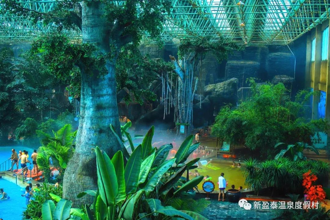 新盈泰生态园温泉,新盈泰温泉度假村都有什么玩的