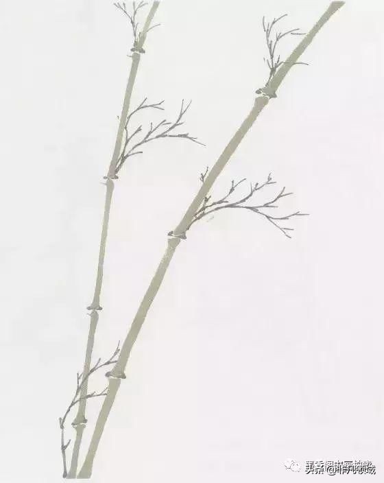 国画教程竹子的写意画法,国画写意竹子画法步骤