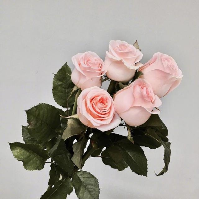 几句让你瞬间成长的句子,真正让你成长的语录