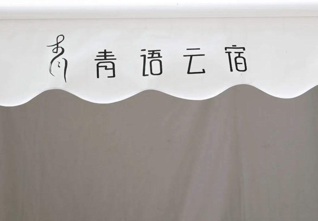 山林竹笋泊云屋舍.....莫干山每一宿都有不期而遇小惊喜