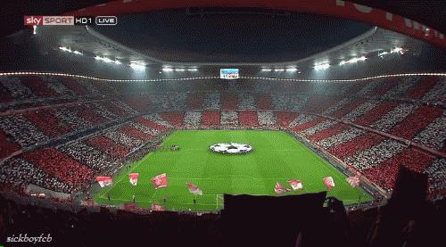 为国足设计的足球场,为中国男足设计的足球场