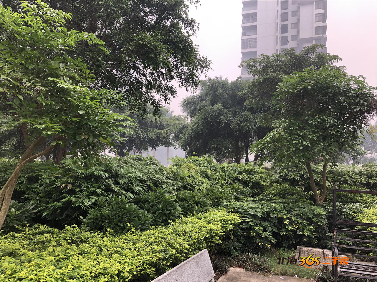 北海二手性价比高楼盘,北海市岳麓海岸到侨港有多远