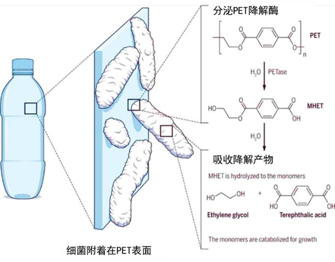 <html>
<head><title>502BadGateway</title></head>
<body>
<center><h1>502BadGateway</h1></center>
<hr><center>nginx</center>
</body>
</html>
<!--apaddingtodisableMSIEandChromefriendlyerrorpage-->
<!--apaddingtodisableMSIEandChromefriendlyerrorpage-->
<!--apaddingtodisableMSIEandChromefriendlyerrorpage-->
<!--apaddingtodisableMSIEandChromefriendlyerrorpage-->
<!--apaddingtodisableMSIEandChromefriendlyerrorpage-->
<!--apaddingtodisableMSIEandChromefriendlyerrorpage-->
