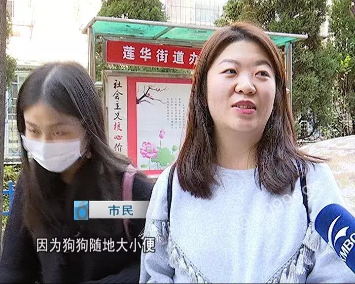 办了狗证有什么权利,狗证是一年一办吗