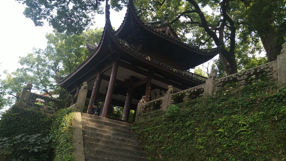 西湖风物志:随处可见的绿果果,老杭州都说是宝贝,竟然免费捡?