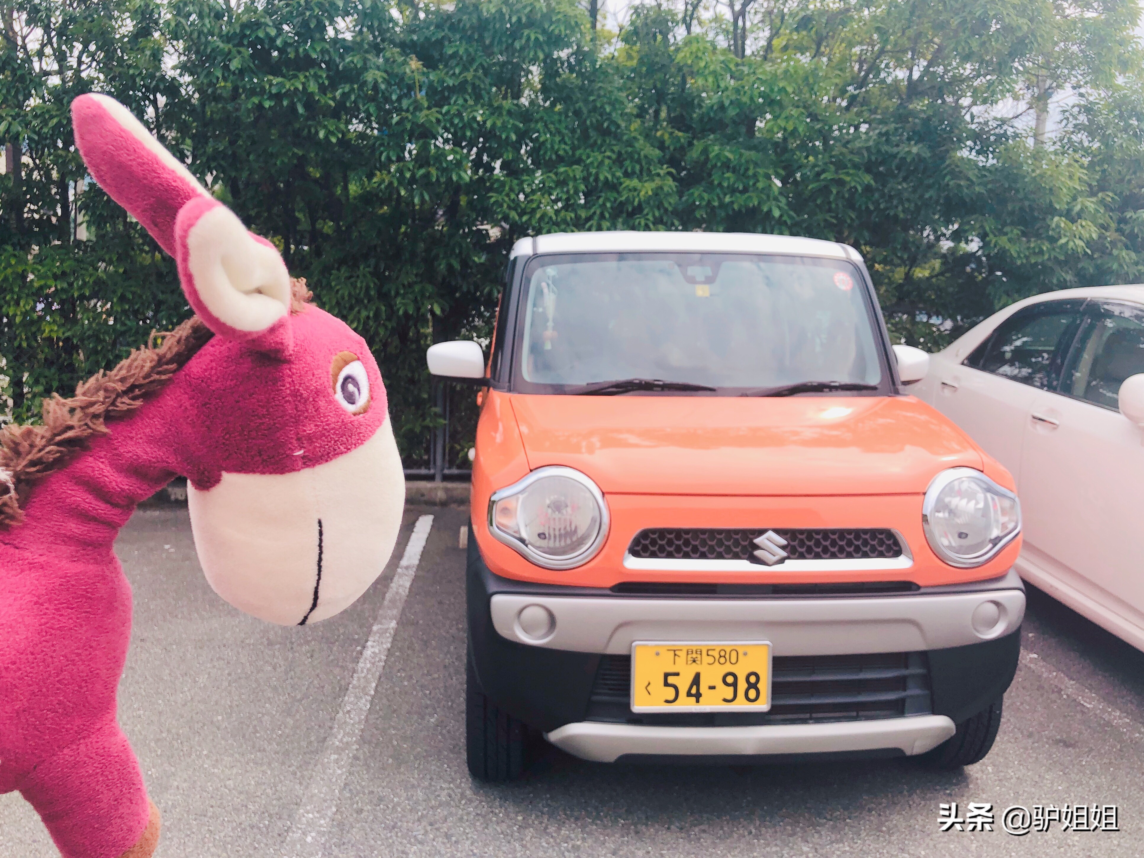 10000多游轮旅游,4000多一个人的邮轮怎么样