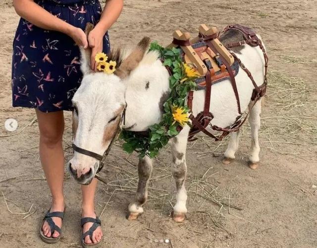 流年不利运气超差,流年不利昙花一现