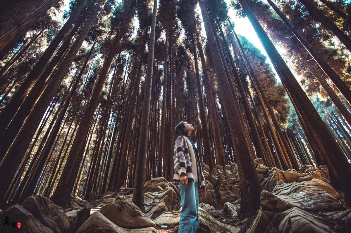 重庆森林拍摄打卡景点,秋冬石柱适合拍照的地方