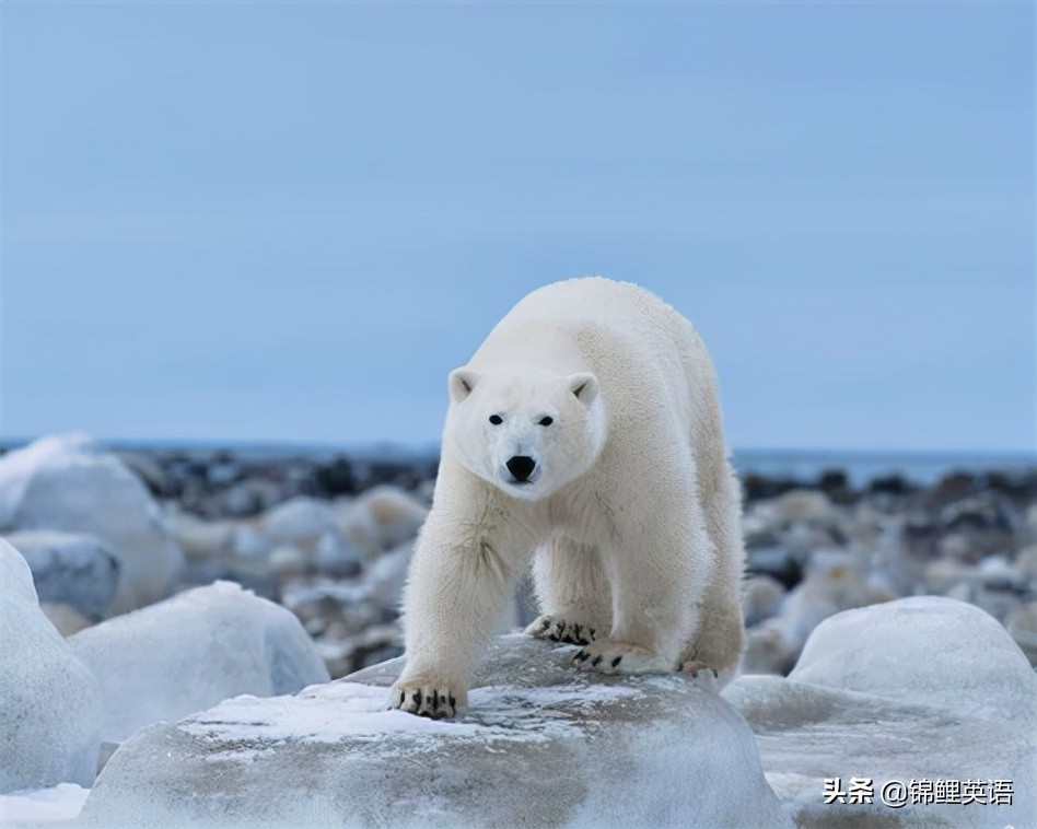 2021锦州中考英语题,2024年锦州初中学业水平测试