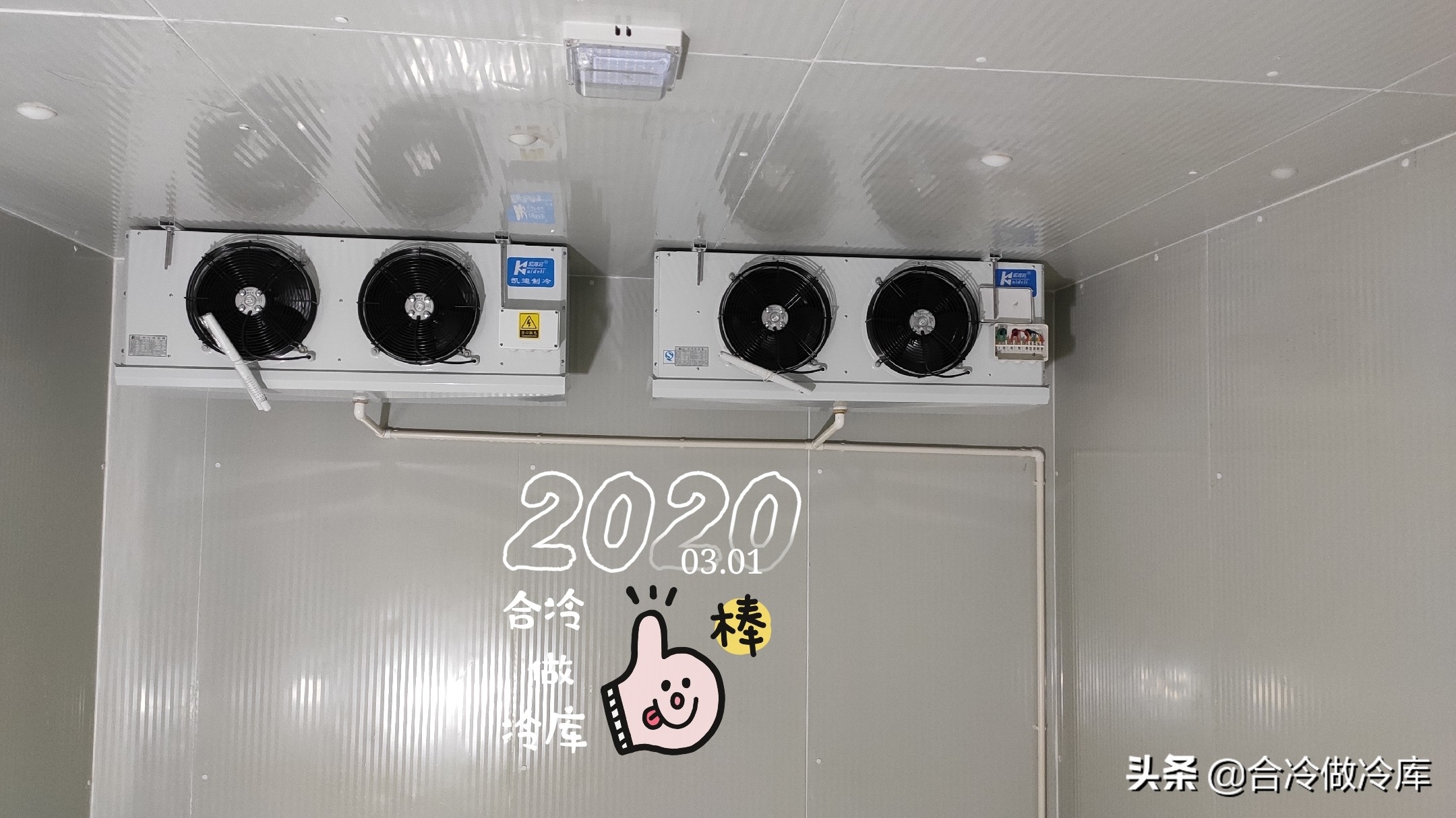 低温库冷库多少钱一平方,冷库资料简介