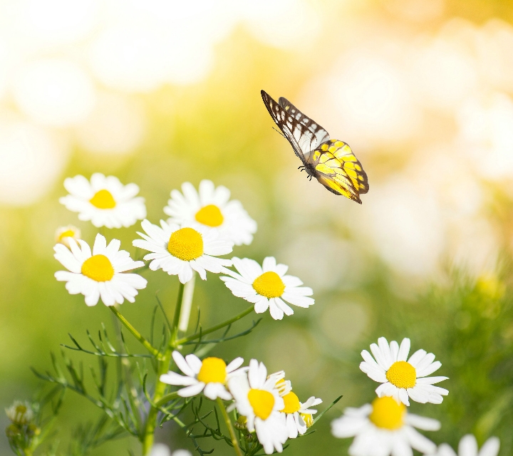 我爱你是个完整句子吗,我爱你三个字倒过来说