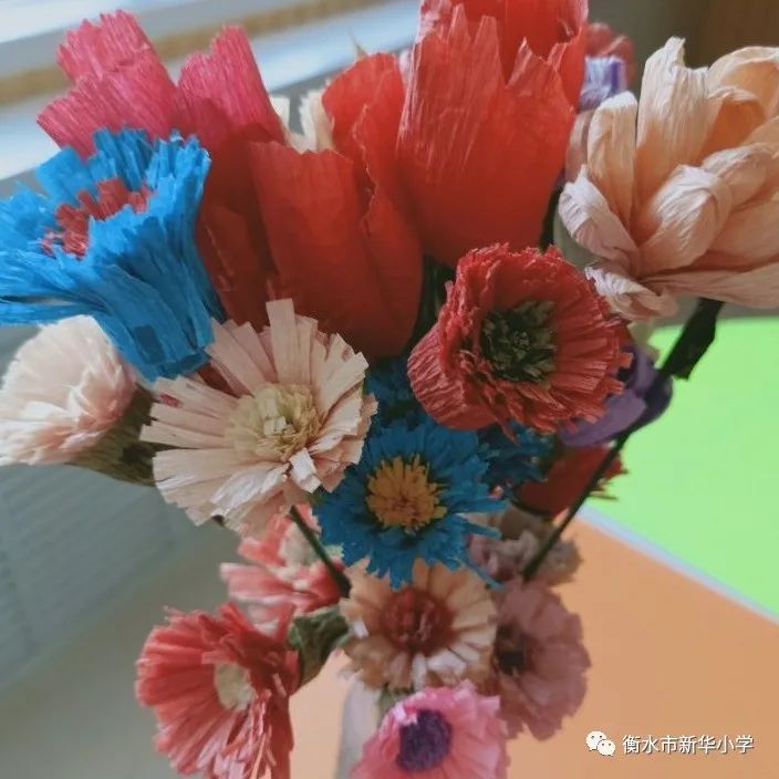 社团活动小学兴趣小组,新华小学三年级参加兴趣小组