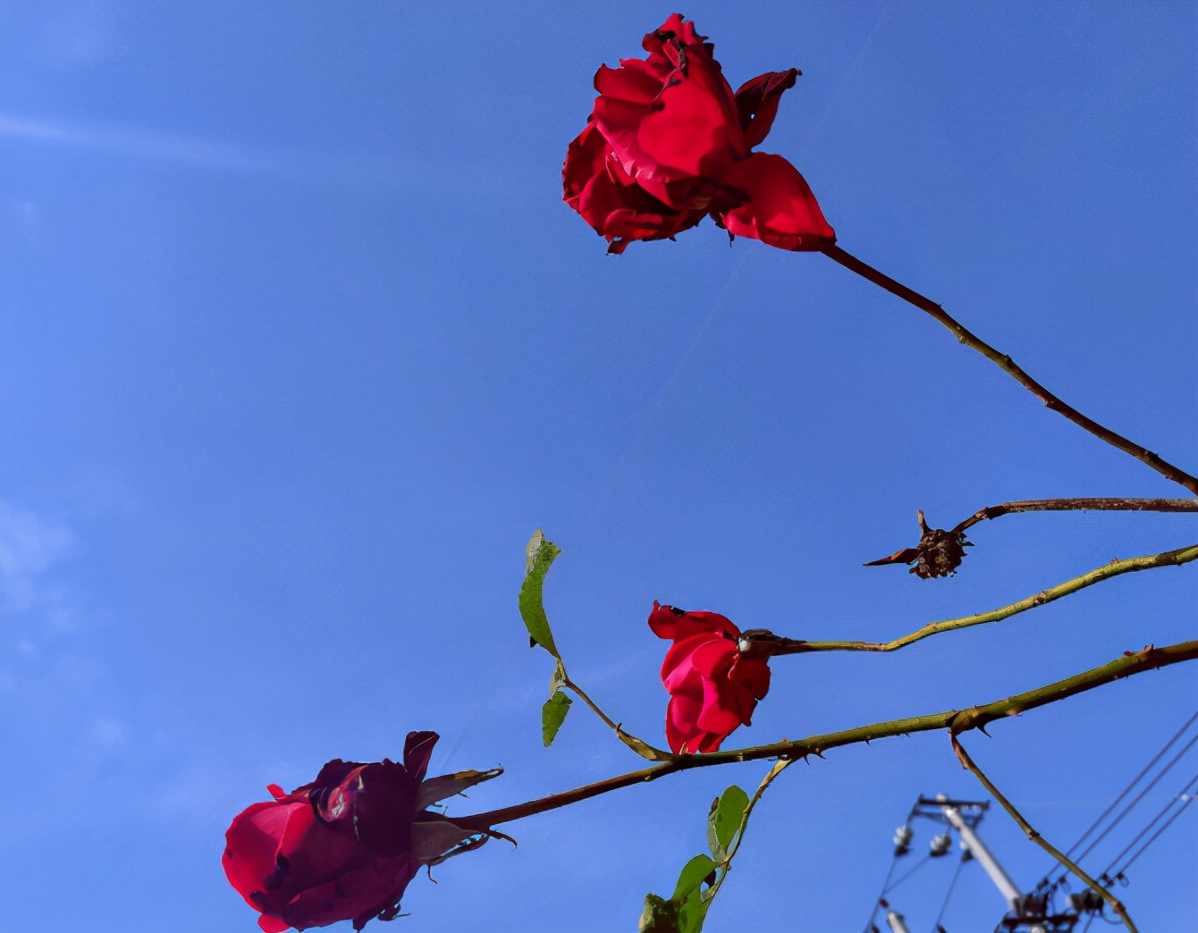 老公背叛了我该原谅吗,老公背叛我该如何原谅他