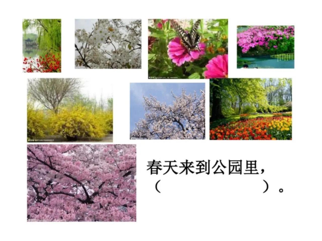 找春天二年级下册作文150个字,二年级下册第一单元春天看图写话