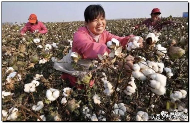 *辱侮**中国！HM、优衣库、ZARA、耐克、阿迪达斯等引公愤