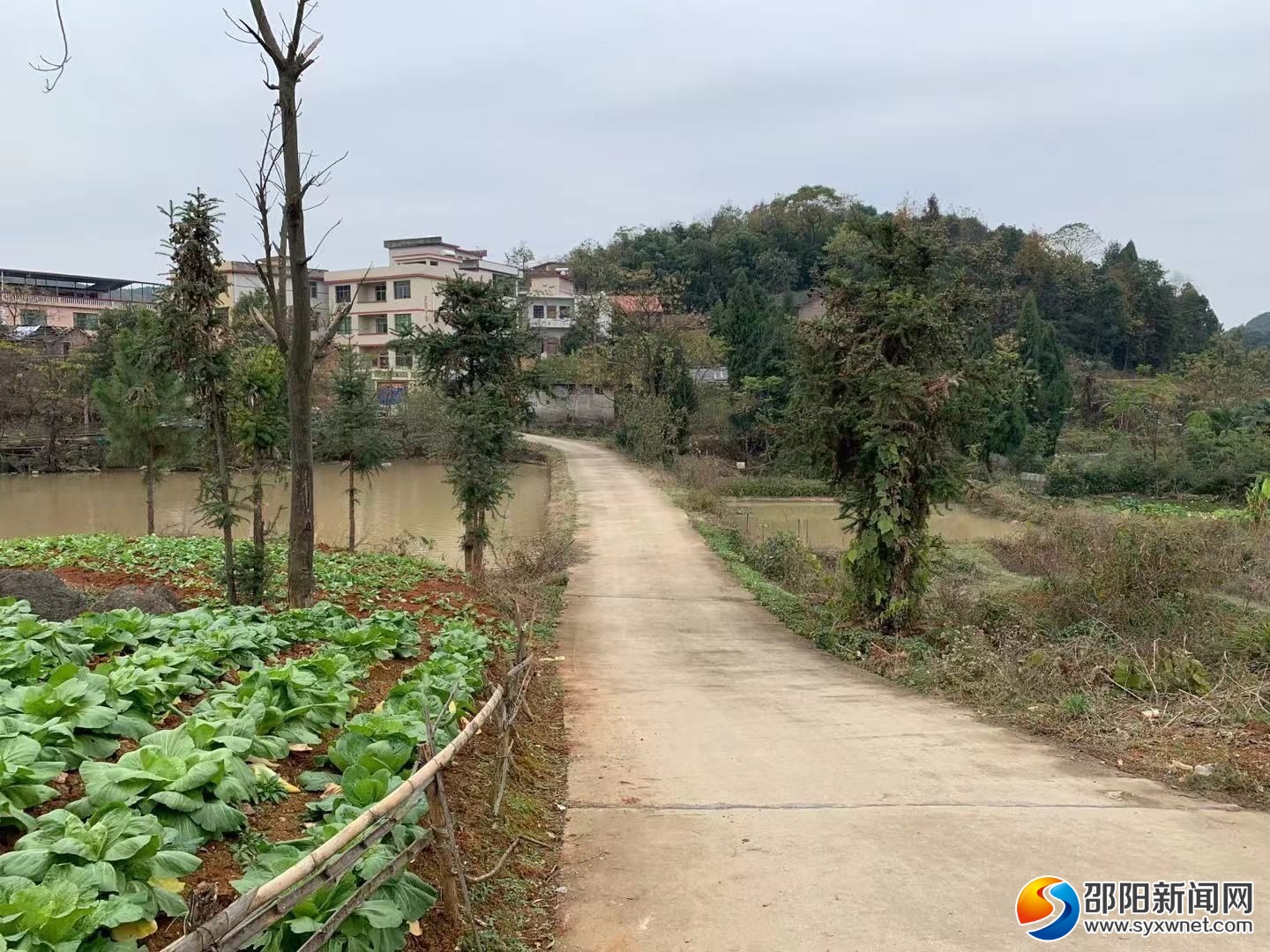 隆回*草烟**：用心用情唱响群众致富小康歌