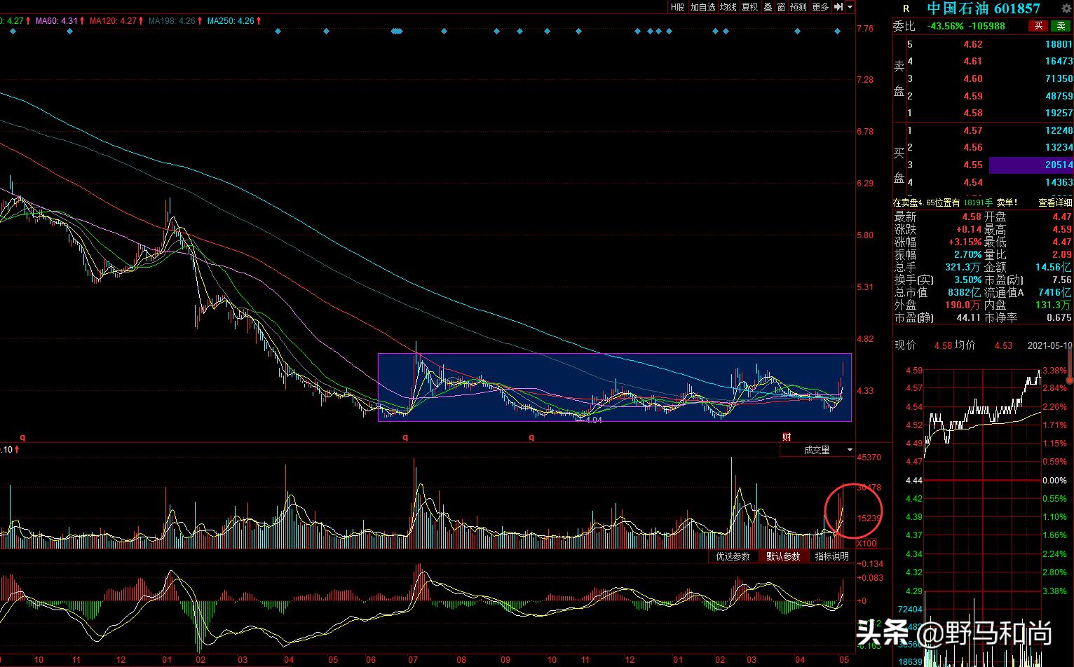 问君能有几多愁只因重仓中石油,股市股价连续九天创新高