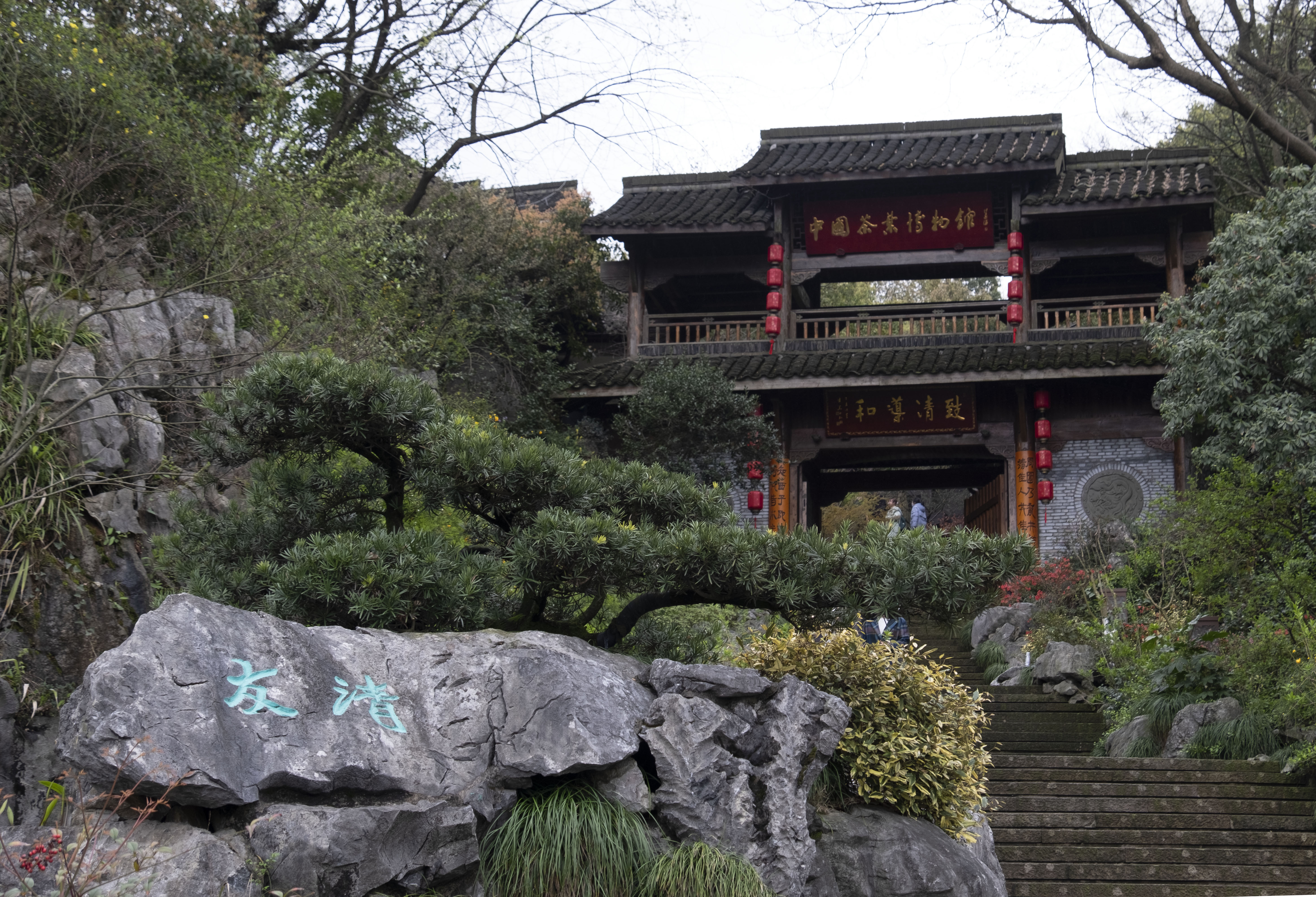 西湖龙井春茶季,龙井茶西湖明前春茶