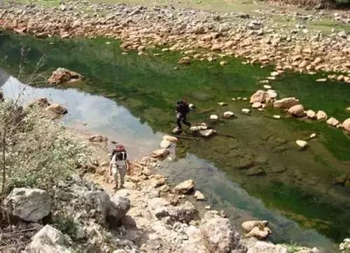 昆明周边适合露营的森林,昆明附近露营风景好
