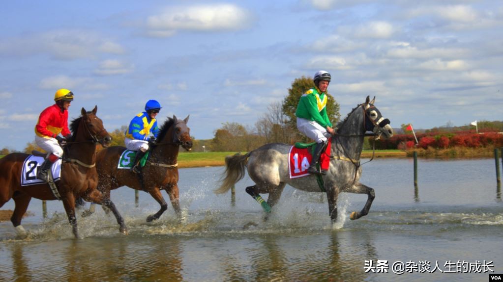 维吉尼亚舞蹈,维吉尼亚回转舞