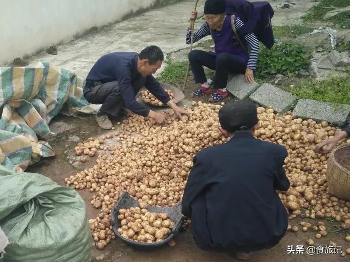 正宗恩施炕土豆摆摊,恩施炕土豆哪里卖的好吃