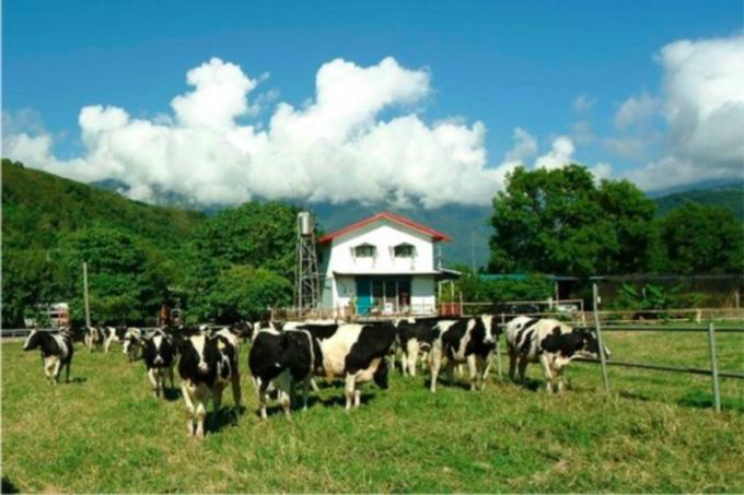 台湾环岛全攻略,台湾深度游玩攻略