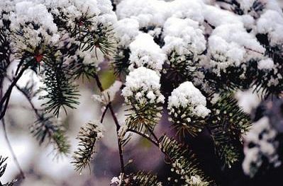 「诗词原创」张大泽｜围炉赊得三壶酒恰是闲来赋月诗