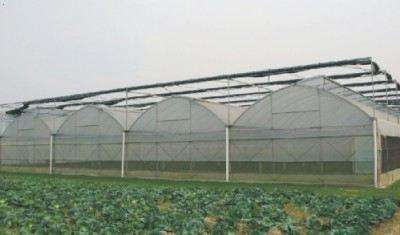 江西智能温室大棚造价一亩多少钱,河南光伏温室大棚造价一亩多少钱