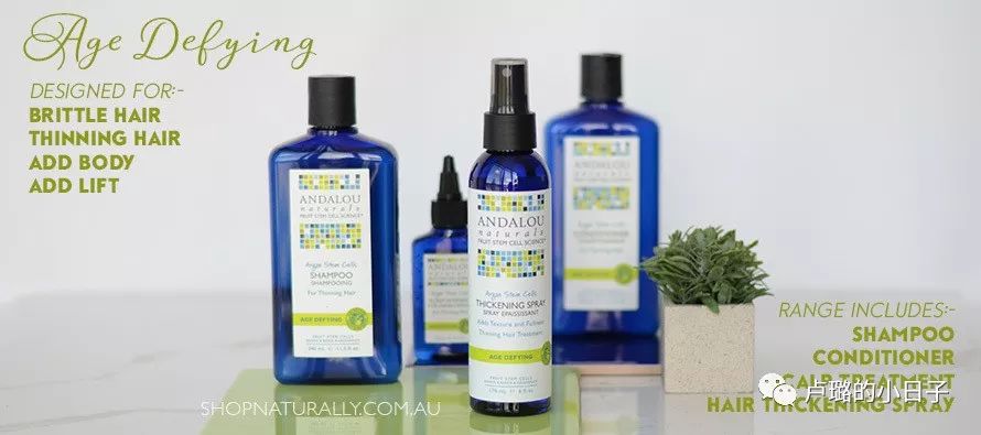 可以拯救发际线的洗发水推荐,拯救干枯毛躁和去屑的平价洗发水