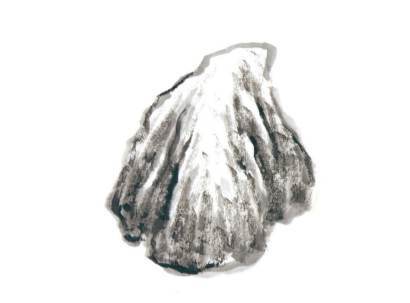 国画山水画石头的画法如何上色,国画石头的画法斧劈皴图片