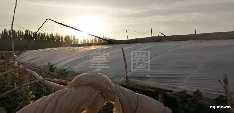 阿克苏找工作58同城最新招聘,阿克苏农林牧副渔转让