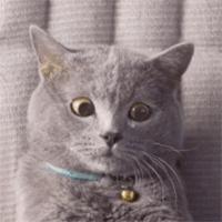 上海地铁藏高手！45岁站务员成网红