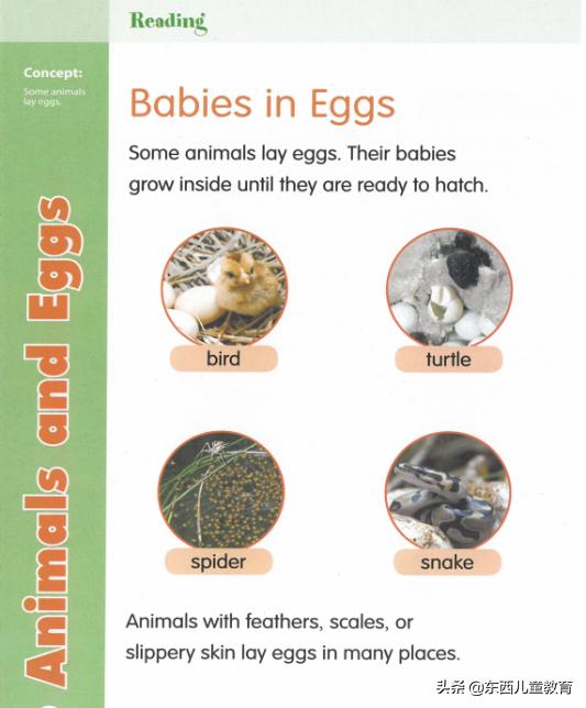 免费美国数学练习册,既能学习数学英语又免费的软件