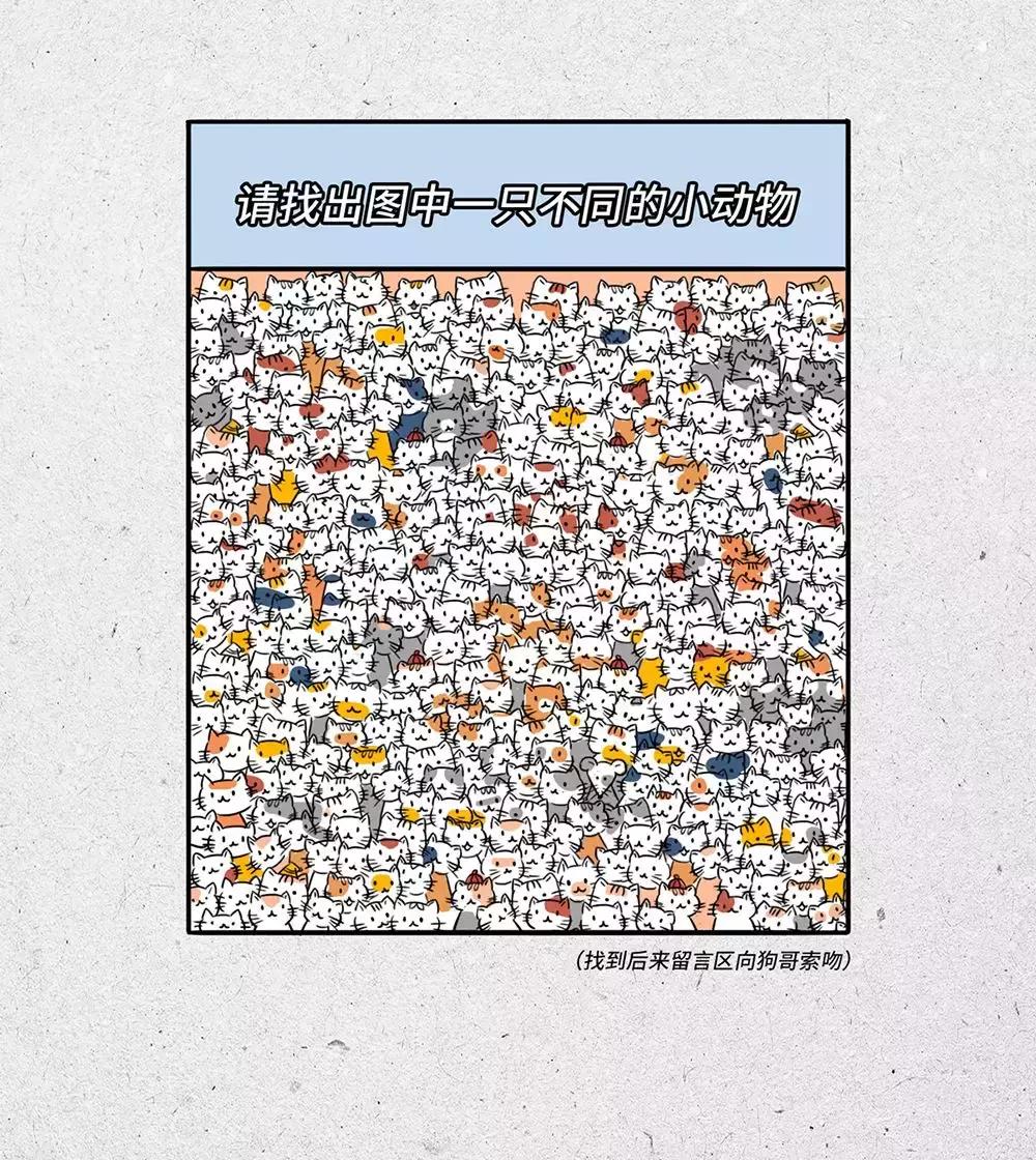 程序员真的很牛逼吗,程序员太可爱了