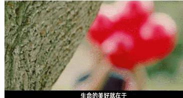 希望小孩内心做个纯粹的人,孩子妈妈希望你成为一个勇敢的人