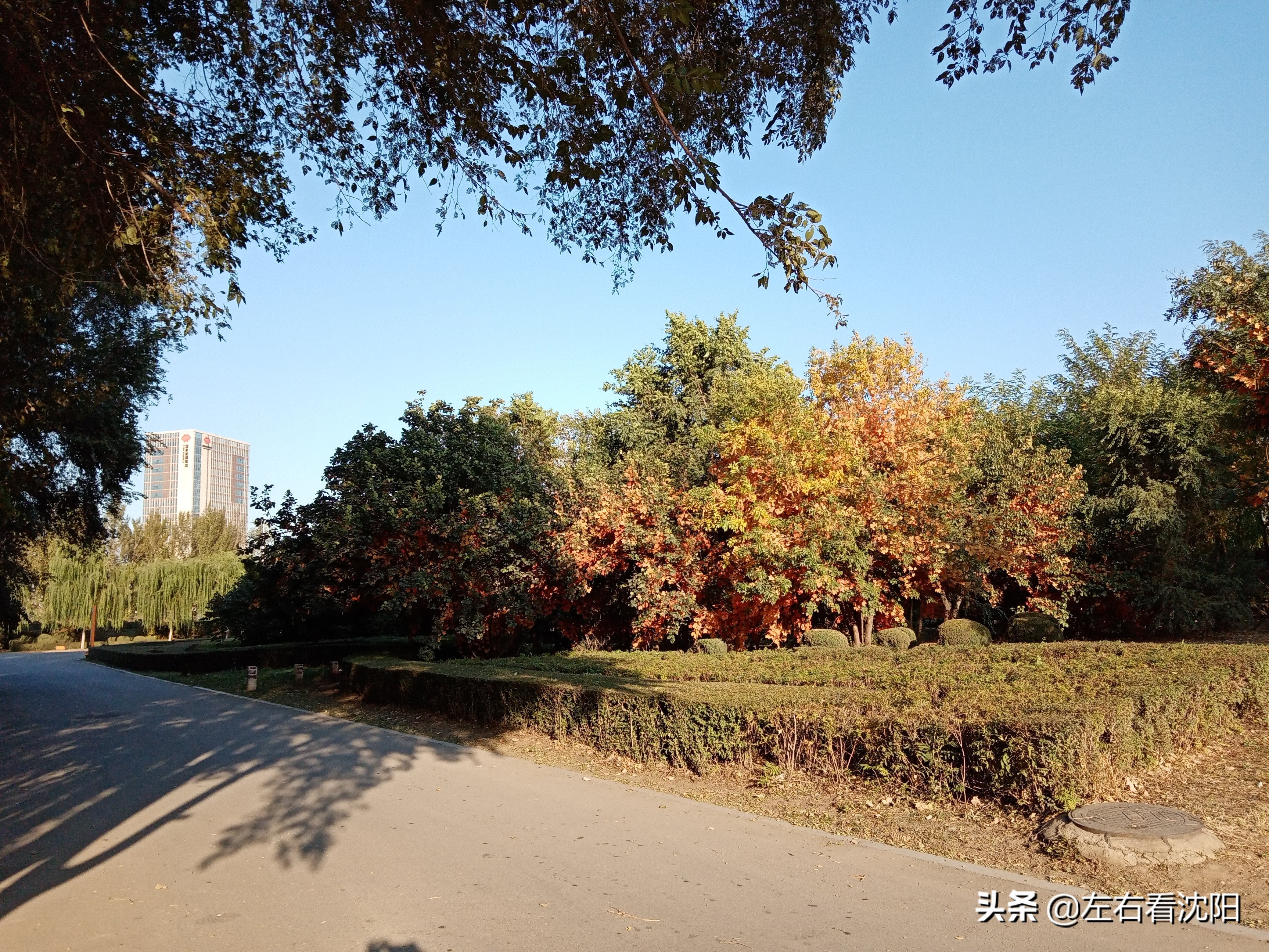 沈阳五里河公园攻略,沈阳五里河公园现在开吗