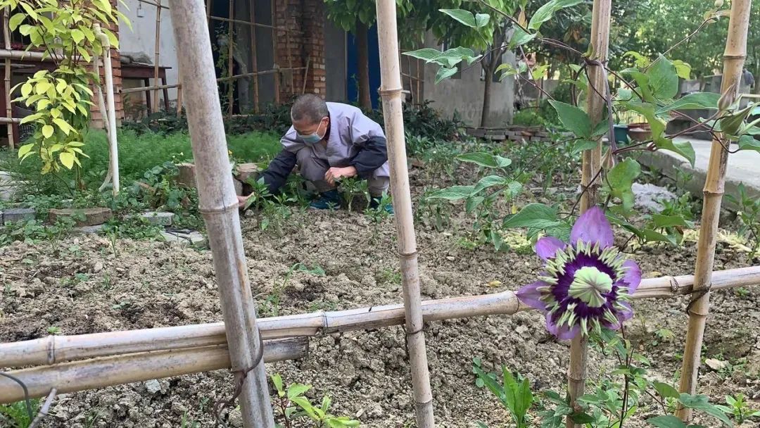 抢抓农时开展农业生产,农民纷纷抢抓春耕生产有利时机